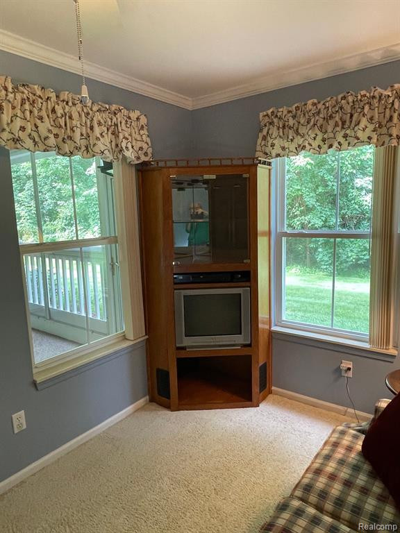 605 CURZON Court, 103, Howell, MI 48843 — Photo 23
