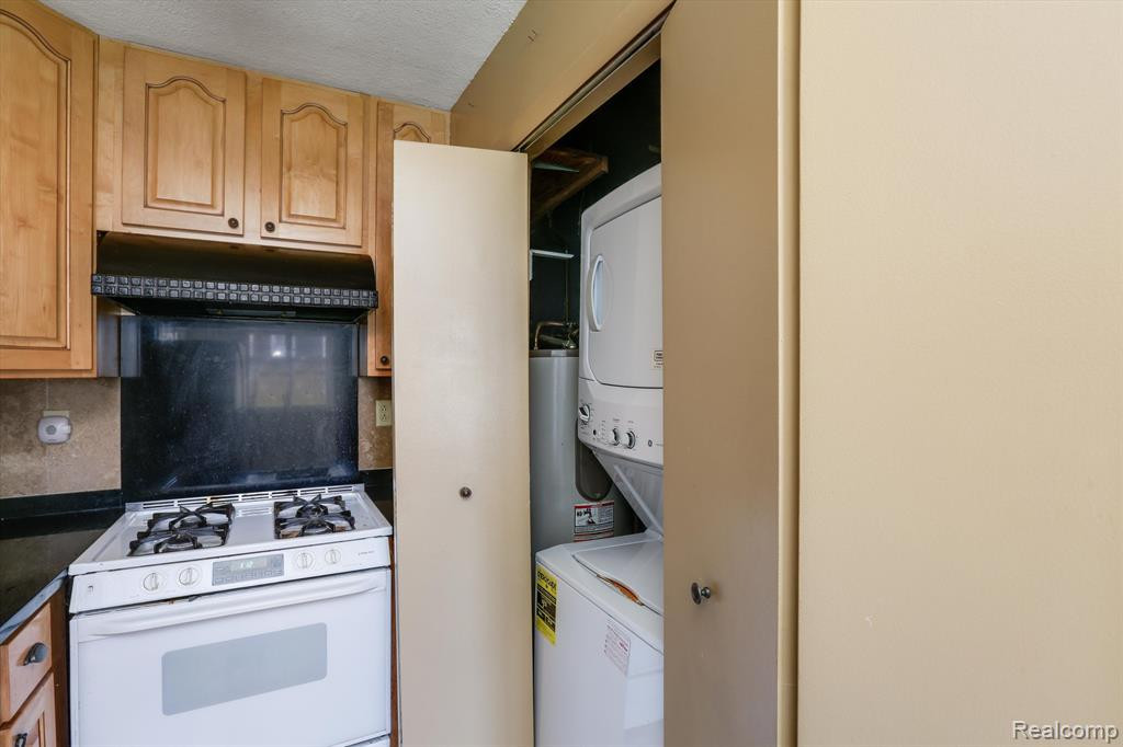 41165 S WOODBURY GREEN Drive, Belleville, MI 48111 — Photo 10