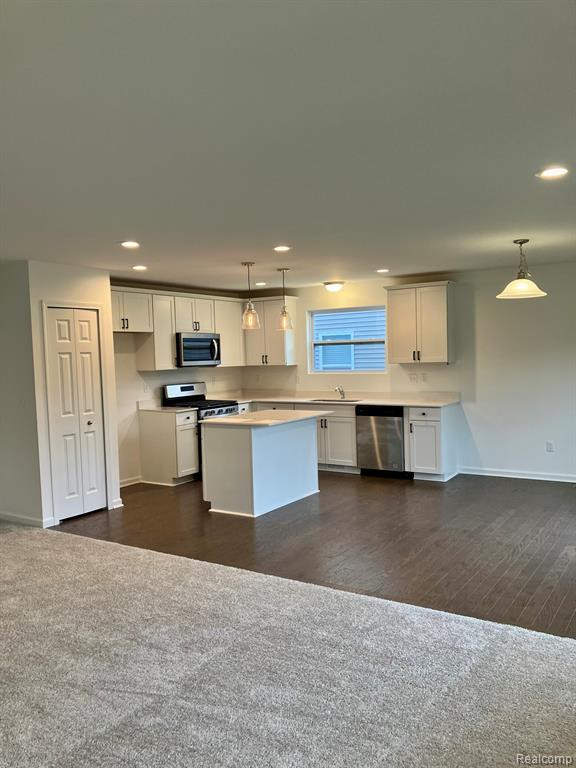 10025 SWAN LAKE Circle, 4, Ypsilanti, MI 48197 — Photo 3