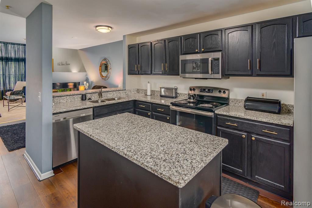 39456 SPRINGWATER Drive, Northville, MI 48168 — Photo 9