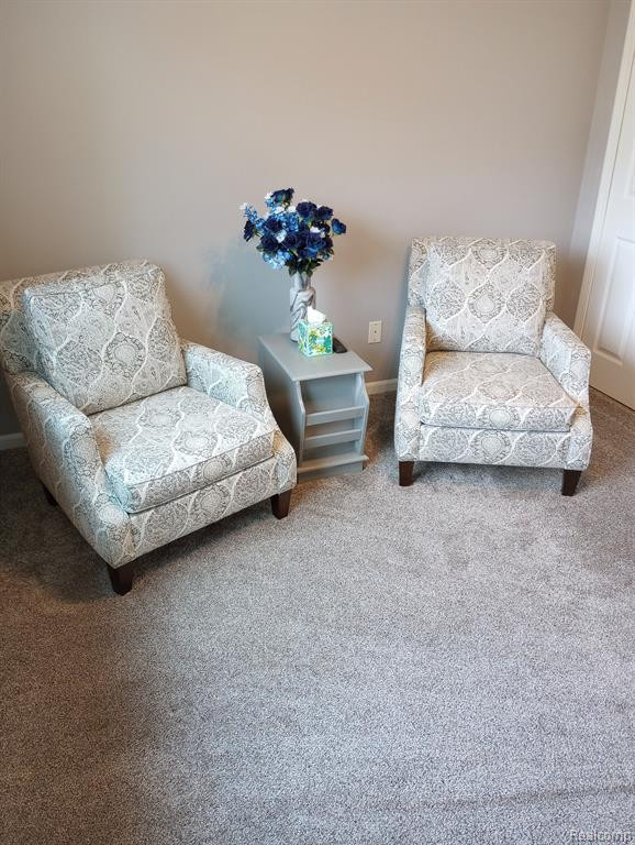 9548 Wheatgrass Lane, Belleville, MI 48111 — Photo 17