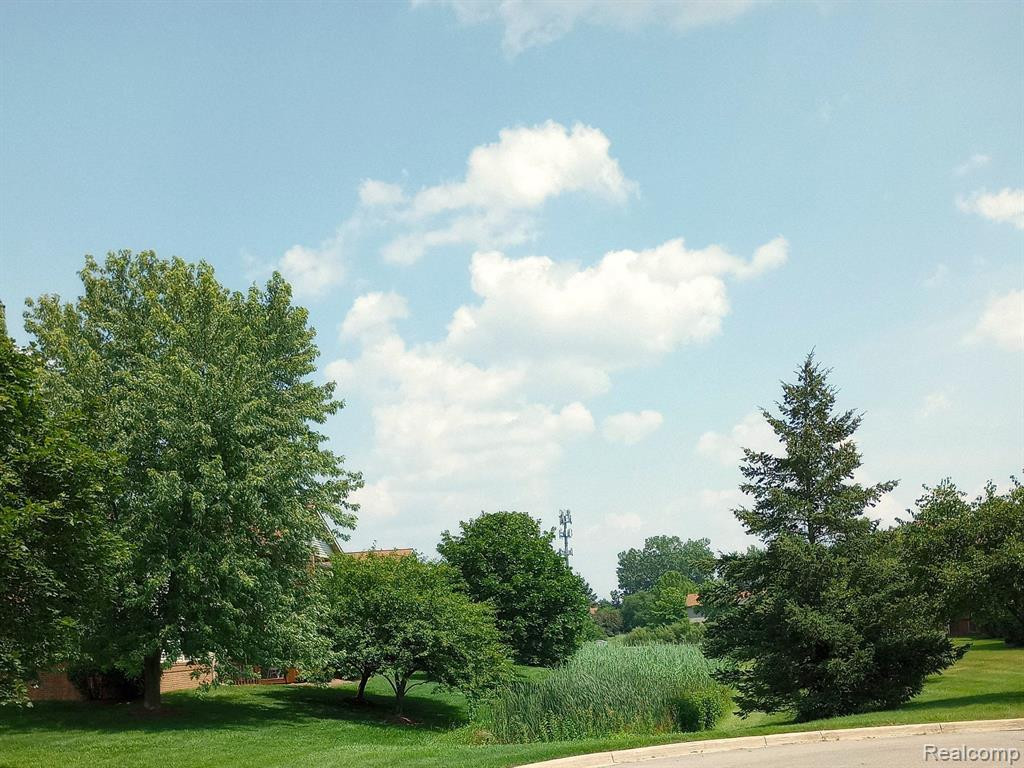 9548 Wheatgrass Lane, Belleville, MI 48111 — Photo 23