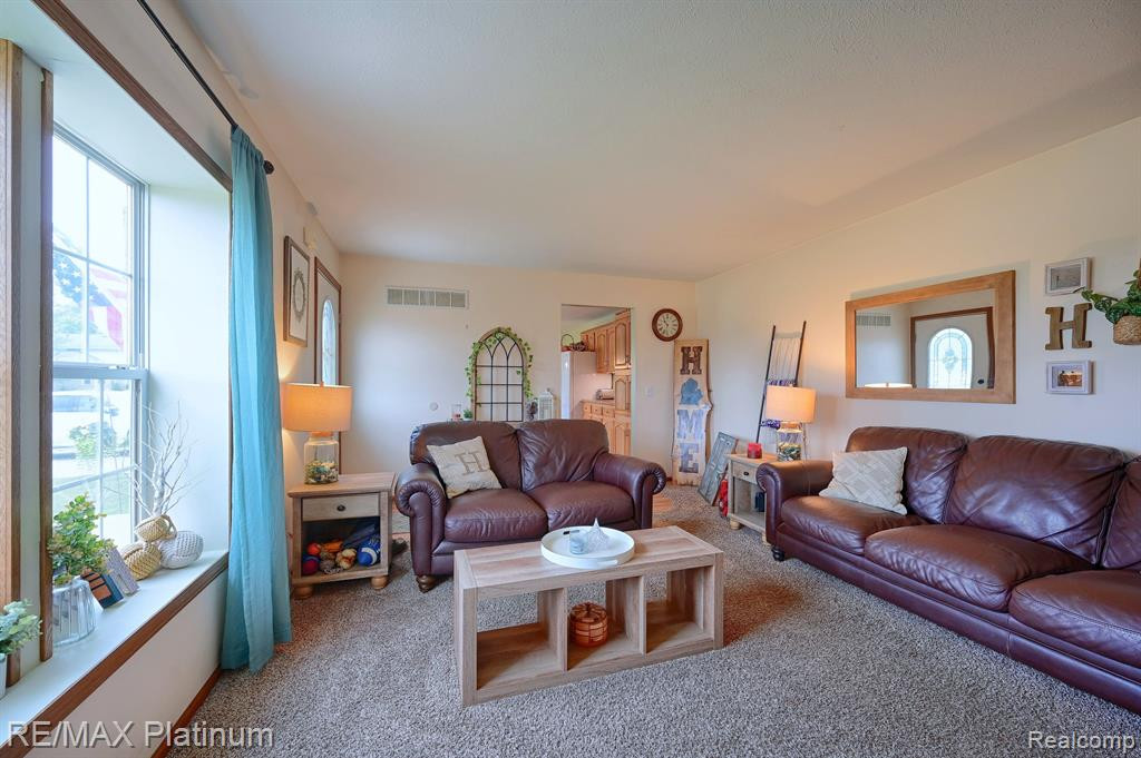 321 HAMILTON Street, Byron, MI 48418 — Photo 10