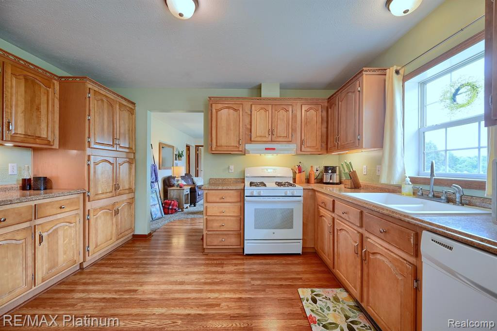 321 HAMILTON Street, Byron, MI 48418 — Photo 12