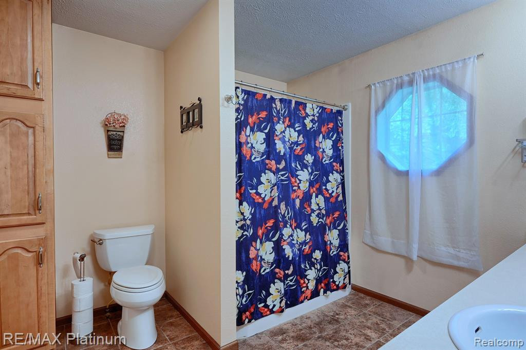 321 HAMILTON Street, Byron, MI 48418 — Photo 19