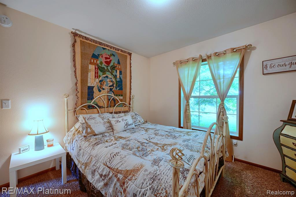 321 HAMILTON Street, Byron, MI 48418 — Photo 21