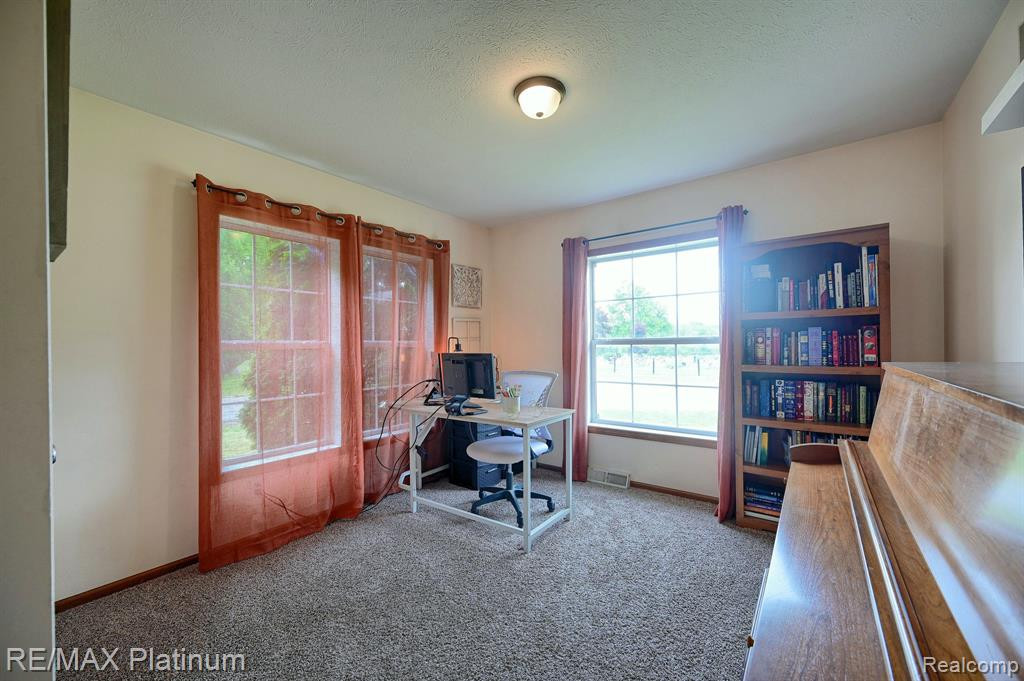 321 HAMILTON Street, Byron, MI 48418 — Photo 23