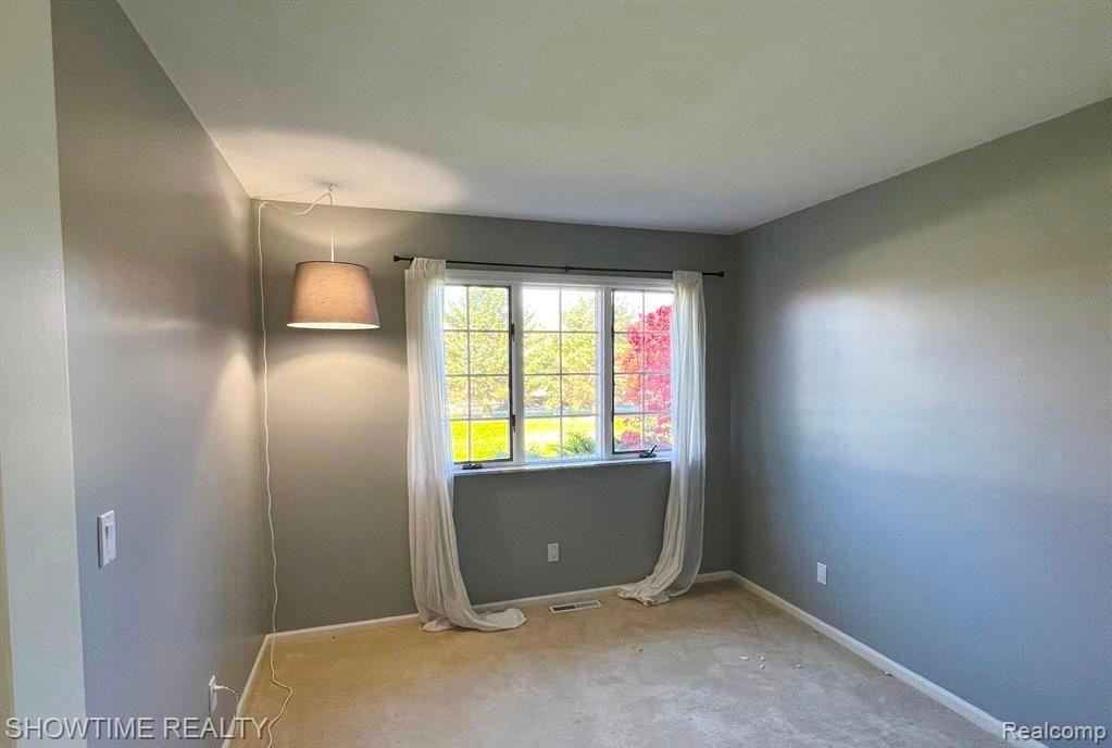 8053 Meridian Road, Bannister, MI 48807 — Photo 31