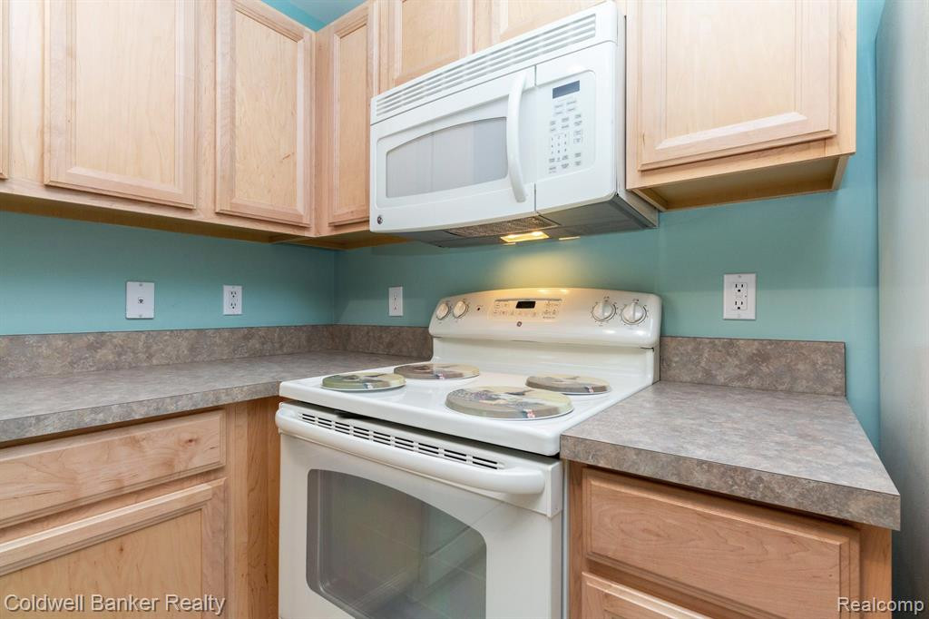 29202 Chesapeake Circle, Commerce Twp, MI 48390 — Photo 18