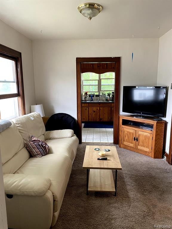 556 N HAGADORN Road, East Lansing, MI 48823 — Photo 2