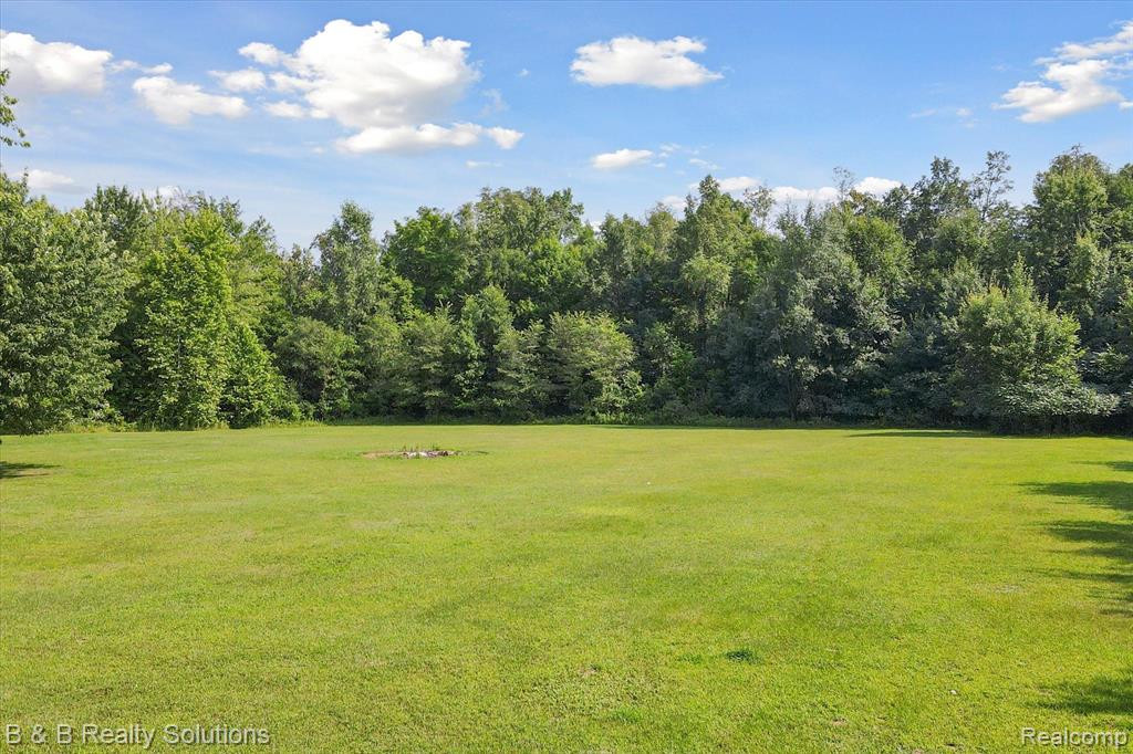 2378 DODDS Road, North Branch, MI 48461 — Photo 65