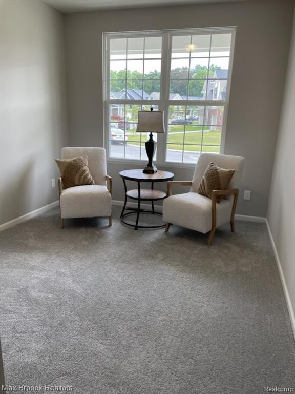 2845 DILLON Drive, Ann Arbor, MI 48105 — Photo 20