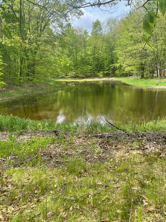3267 N KILGORE Road, Luther, MI 49656 — Photo 15