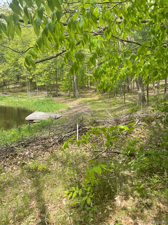 3267 N KILGORE Road, Luther, MI 49656 — Photo 16