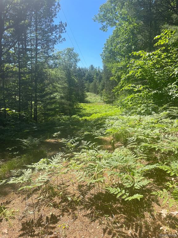 3267 N KILGORE Road, Luther, MI 49656 — Photo 17