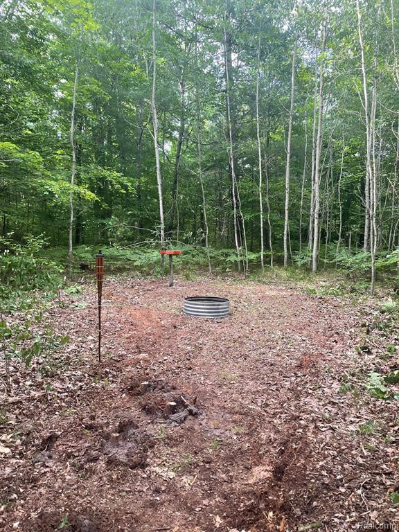 3267 N KILGORE Road, Luther, MI 49656 — Photo 18