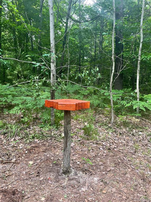 3267 N KILGORE Road, Luther, MI 49656 — Photo 19