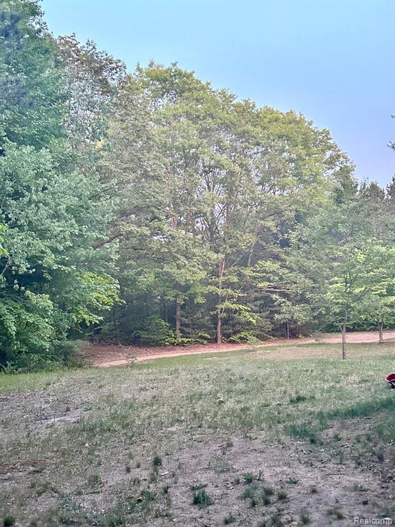 3267 N KILGORE Road, Luther, MI 49656 — Photo 21