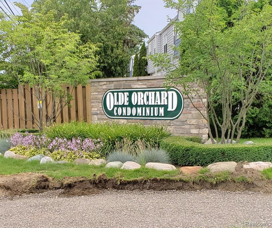 24734 OLDE ORCHARD Street, Novi, MI — Photo 4