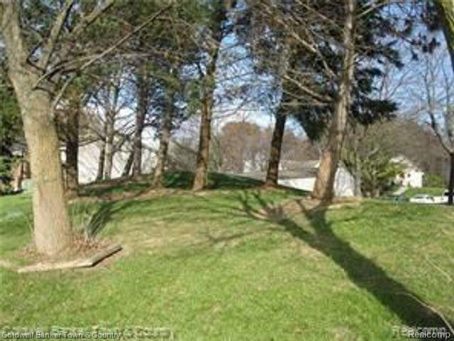 310 SPRING BROOKE Drive, 6, Brighton, MI 48116 — Photo 3