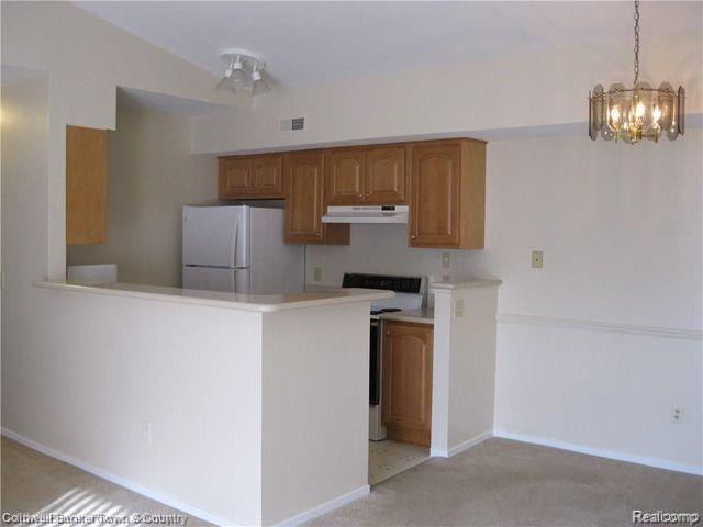 310 SPRING BROOKE Drive, 6, Brighton, MI 48116 — Photo 7