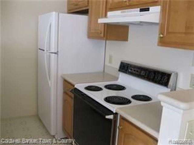 310 SPRING BROOKE Drive, 6, Brighton, MI 48116 — Photo 8