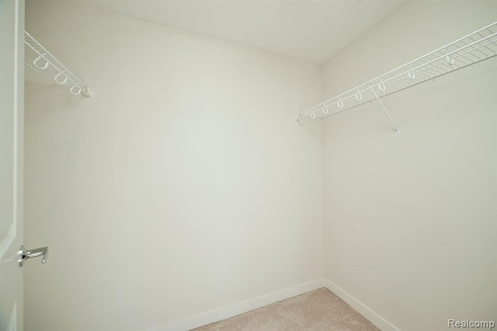 1135 SHELBY Street, Detroit, MI 48226 — Photo 13