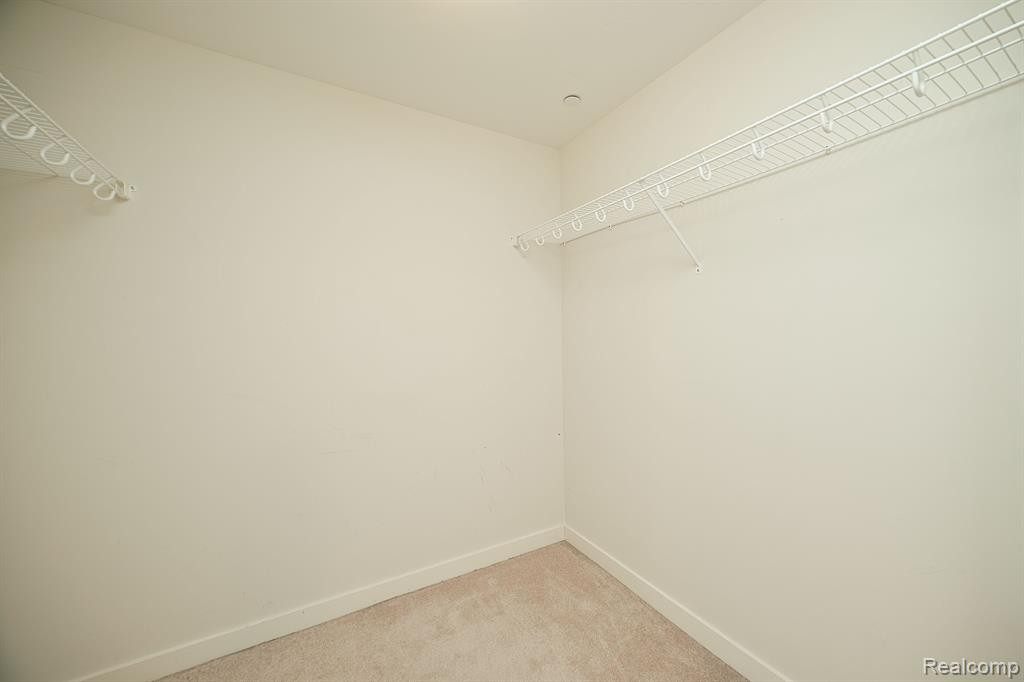 1135 SHELBY Street, Detroit, MI 48226 — Photo 16