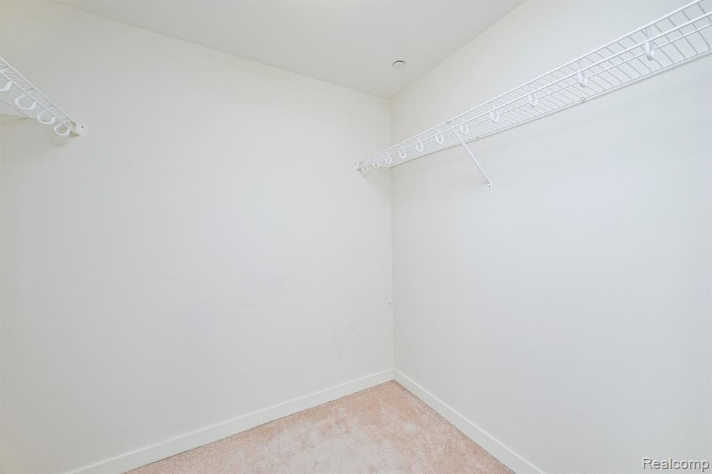 1135 SHELBY Street, Detroit, MI 48226 — Photo 31