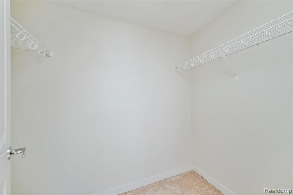 1135 SHELBY Street, Detroit, MI 48226 — Photo 34