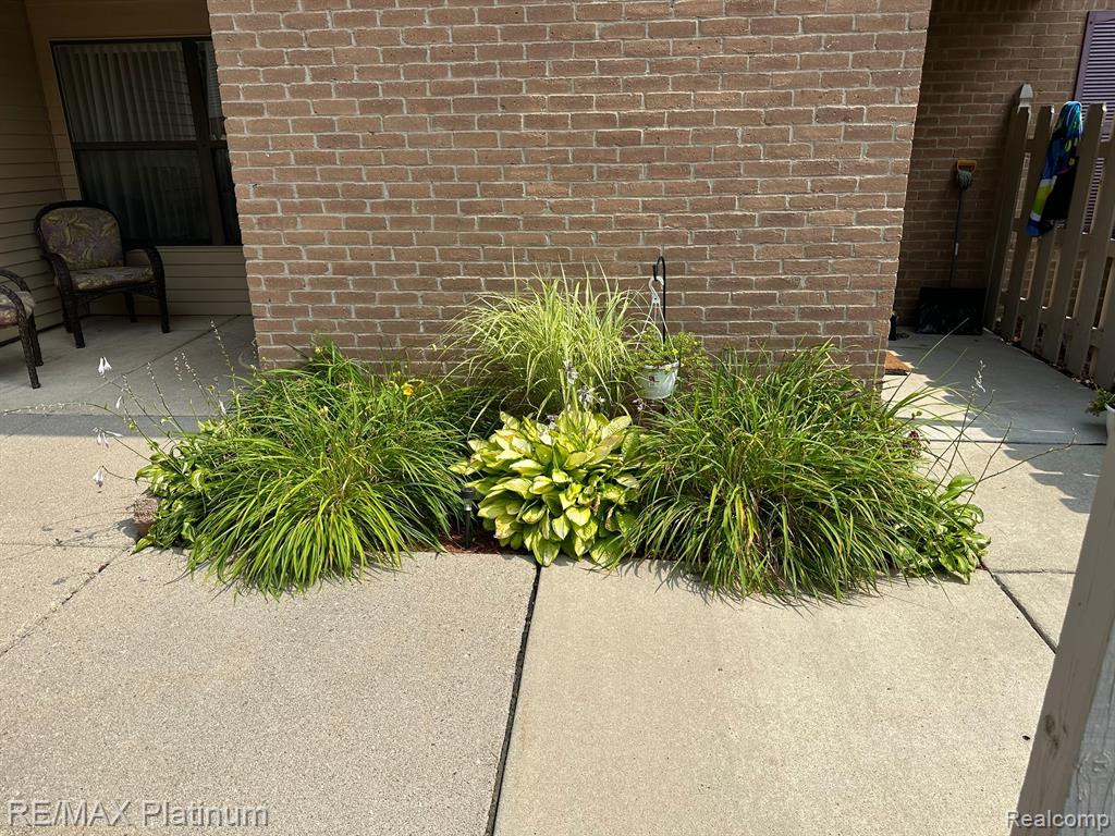 61184 GREENWOOD Drive, South Lyon, MI 48178 — Photo 6