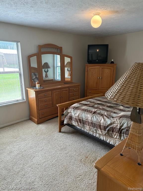 61184 GREENWOOD Drive, South Lyon, MI 48178 — Photo 9