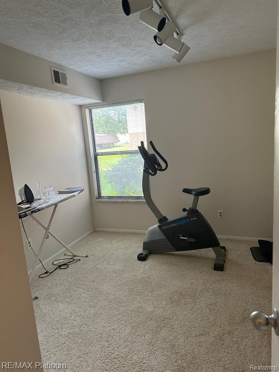 61184 GREENWOOD Drive, South Lyon, MI 48178 — Photo 14