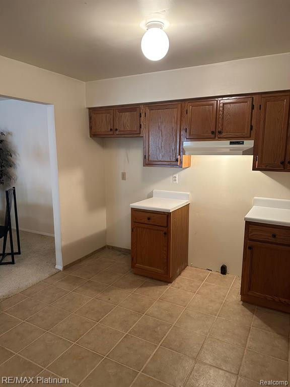 61184 GREENWOOD Drive, South Lyon, MI 48178 — Photo 16