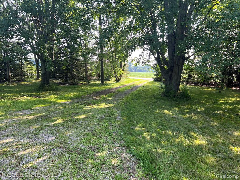 2394 PALMS Road, Columbus, MI — Photo 4