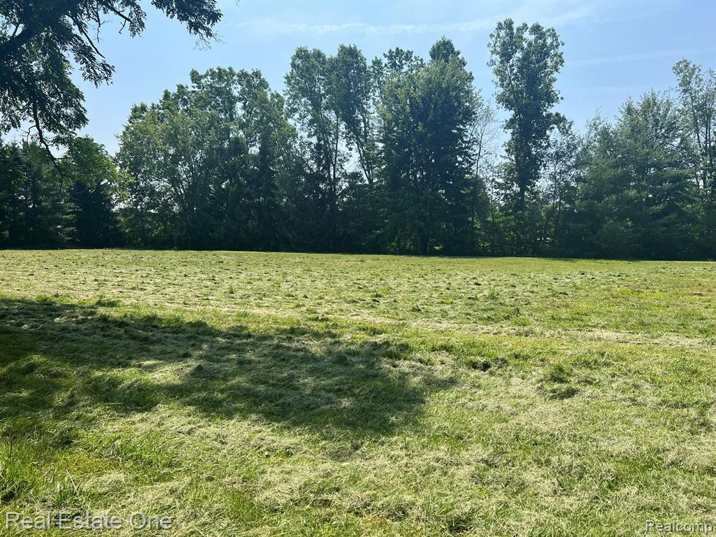 2394 PALMS Road, Columbus, MI — Photo 39