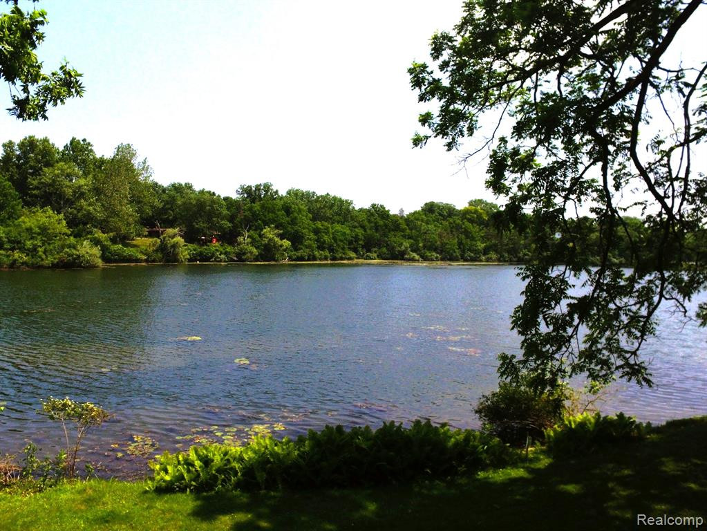 3675 GREENOOK Boulevard, Ann Arbor, MI 48103 — Photo 7
