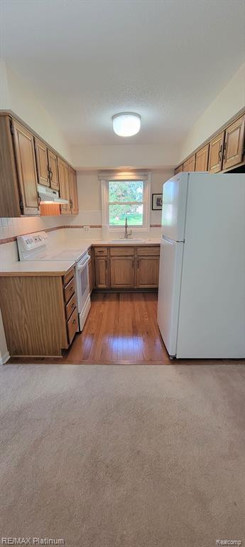 2862 ROUNDTREE Boulevard, Ypsilanti, MI 48197 — Photo 8