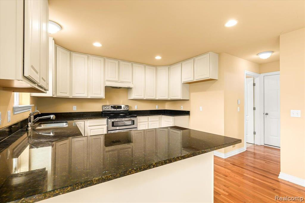 53742 SPRINGWOOD Drive, South Lyon, MI 48178 — Photo 11
