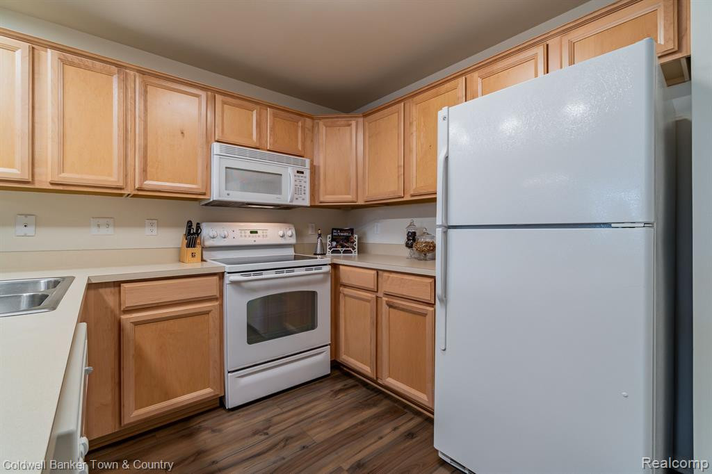 20106 ALEXA Drive, Walled Lake, MI 48390 — Photo 19