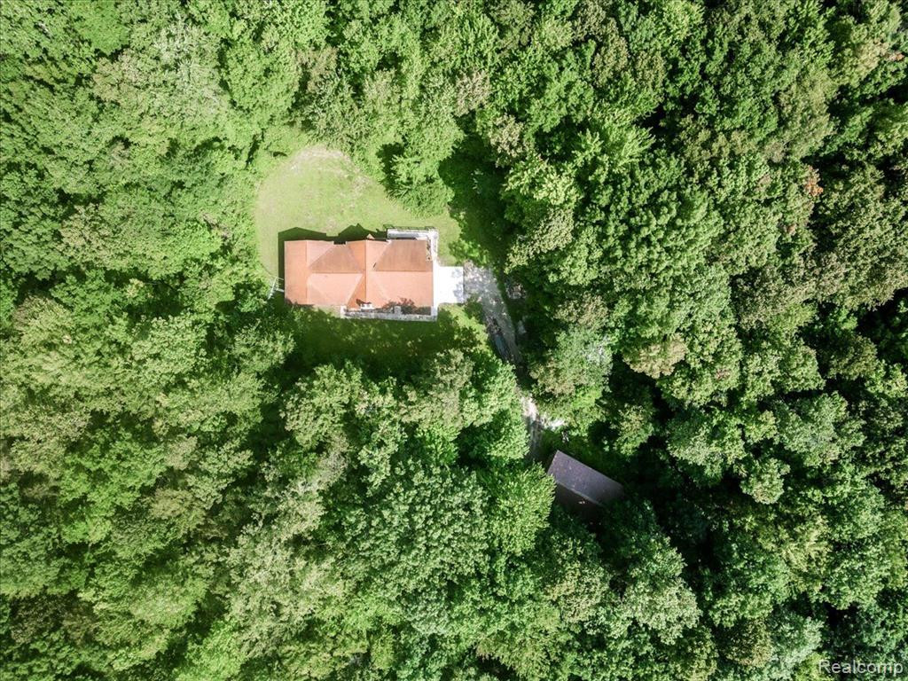 7890 AVOCA Road, Kenockee, MI 48006 — Photo 4
