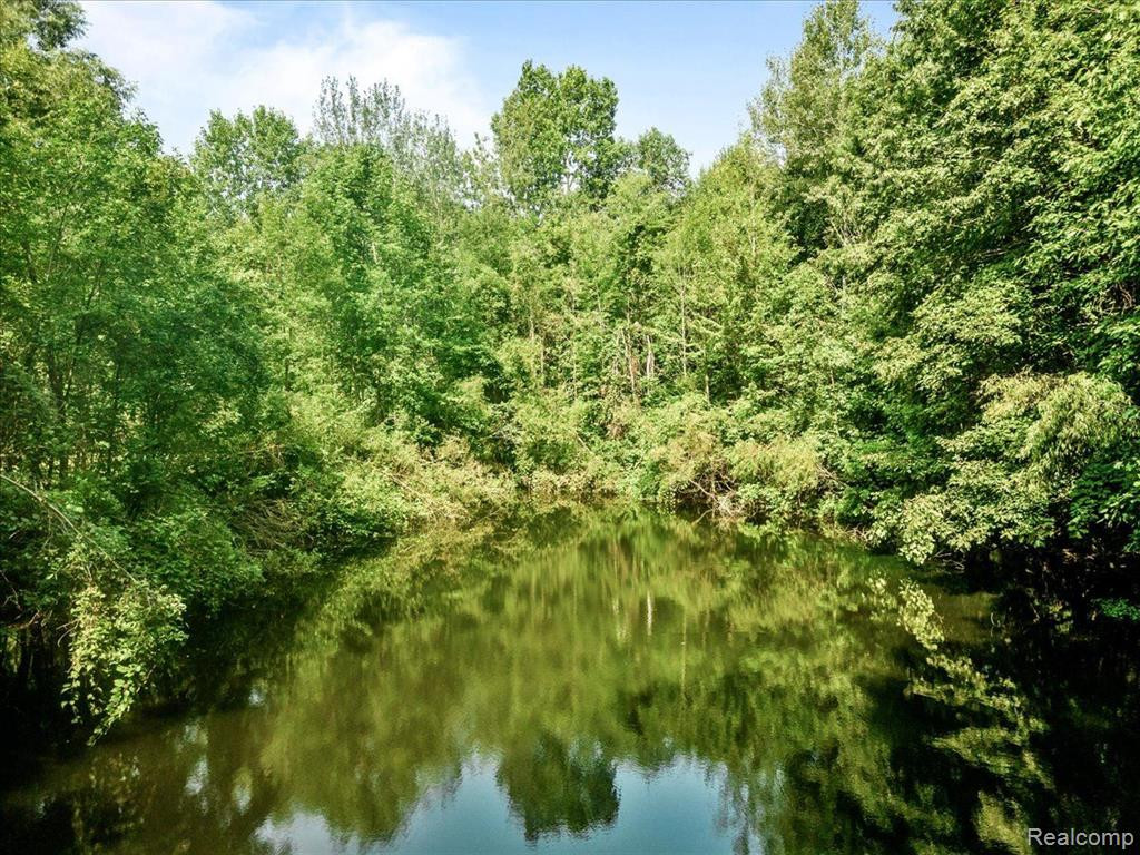 7890 AVOCA Road, Kenockee, MI 48006 — Photo 34