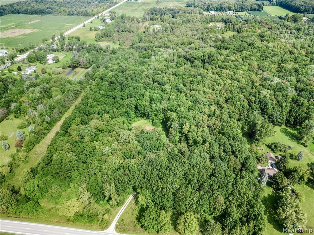 7890 AVOCA Road, Kenockee, MI 48006 — Photo 35
