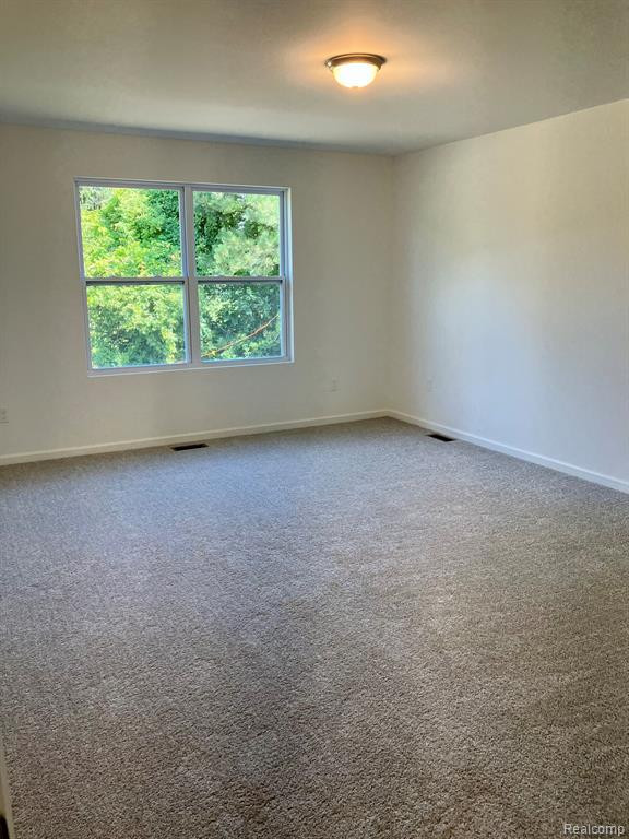 10085 SWAN LAKE Circle, 12, Ypsilanti, MI 48197 — Photo 9