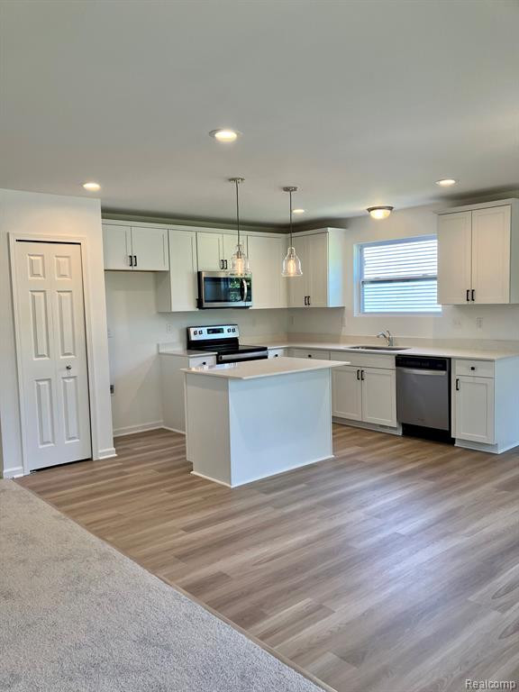 10079 SWAN LAKE Circle, 11, Ypsilanti, MI 48197 — Photo 2