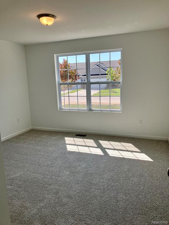 10079 SWAN LAKE Circle, 11, Ypsilanti, MI 48197 — Photo 11