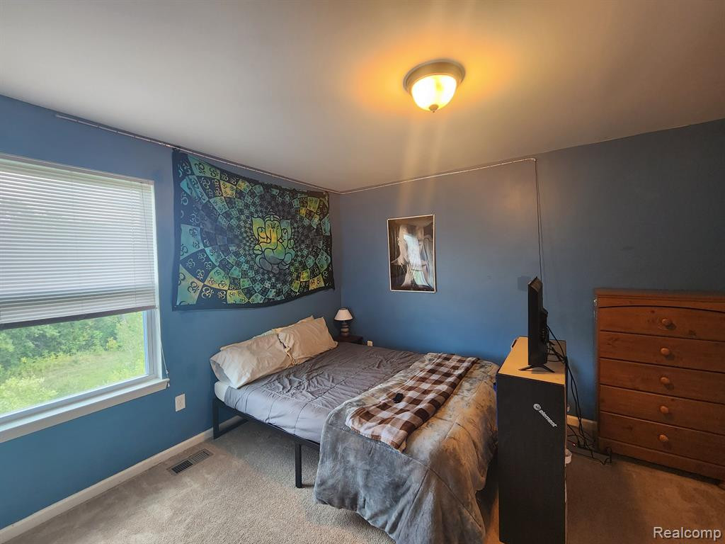 1186 SECRETARIAT Way, Howell, MI 48843 — Photo 17