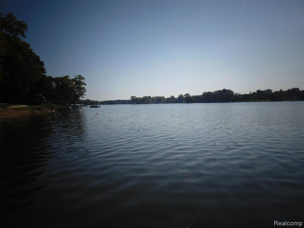 2352 WOODLAWN Street, Wolverine Lake, MI 48390 — Photo 4