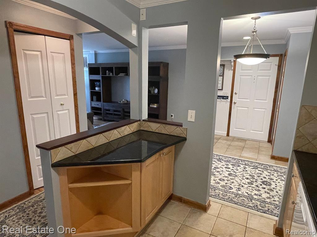 475 BALDWIN Avenue, 110, Rochester, MI 48307 — Photo 12