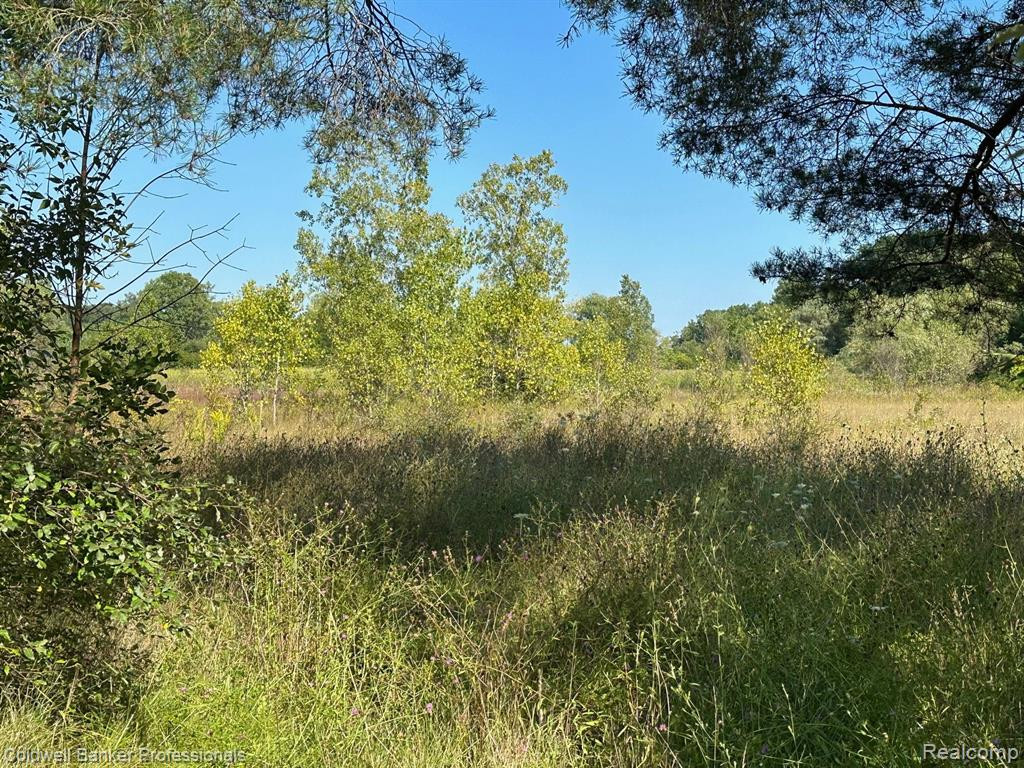 LOT River Lane, Hastings, MI, 49058